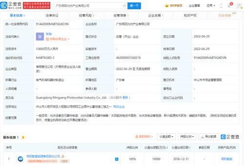 新兴能源技术研发 迈向可持续发展的引擎